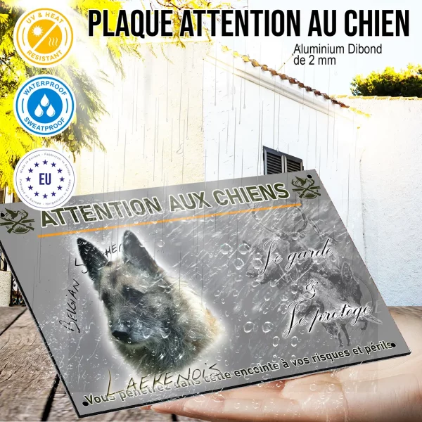 Panneau Portrait d'un chien Laekenois avec un pelage riche