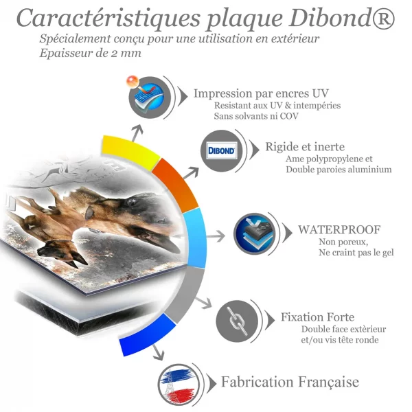 Je monte la garde Chien Malinois en gros plan et en entier