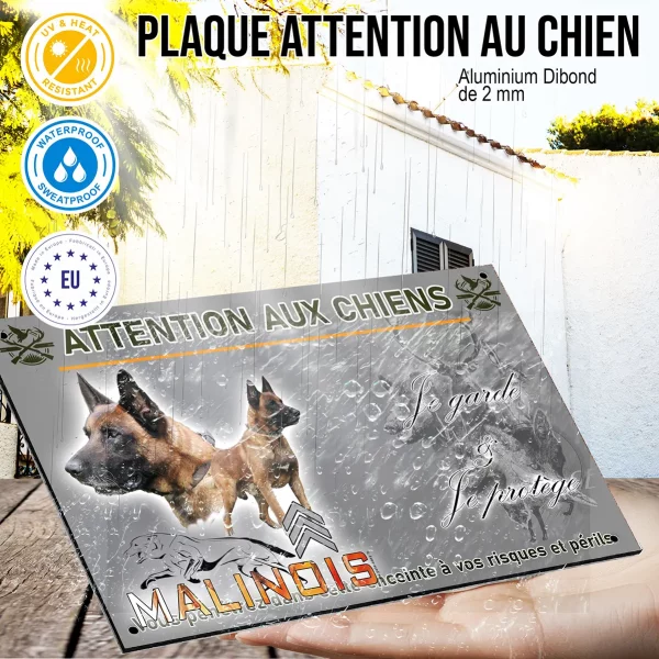 Panneau Chien Malinois en gros plan et en entier