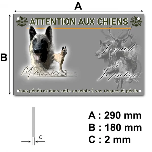 Pancarte Illustration de deux chiens Malinois sur fond coloré