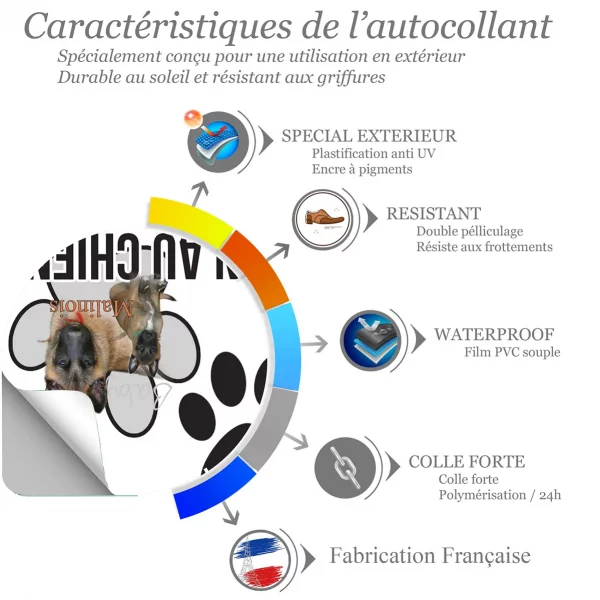 Chien a bord Un chiot et un chien adulte Malinois