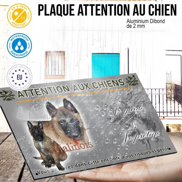 Panneau Un chiot et un chien adulte Malinois