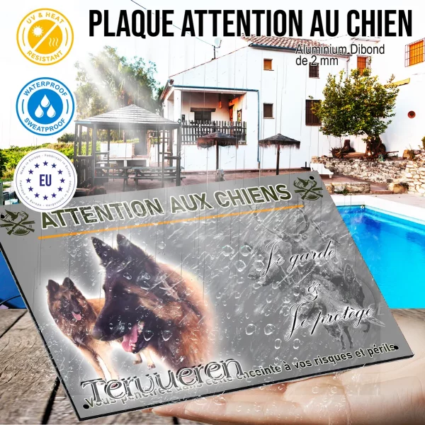 Panneau Chien Tervuren en gros plan et entier dans le fond