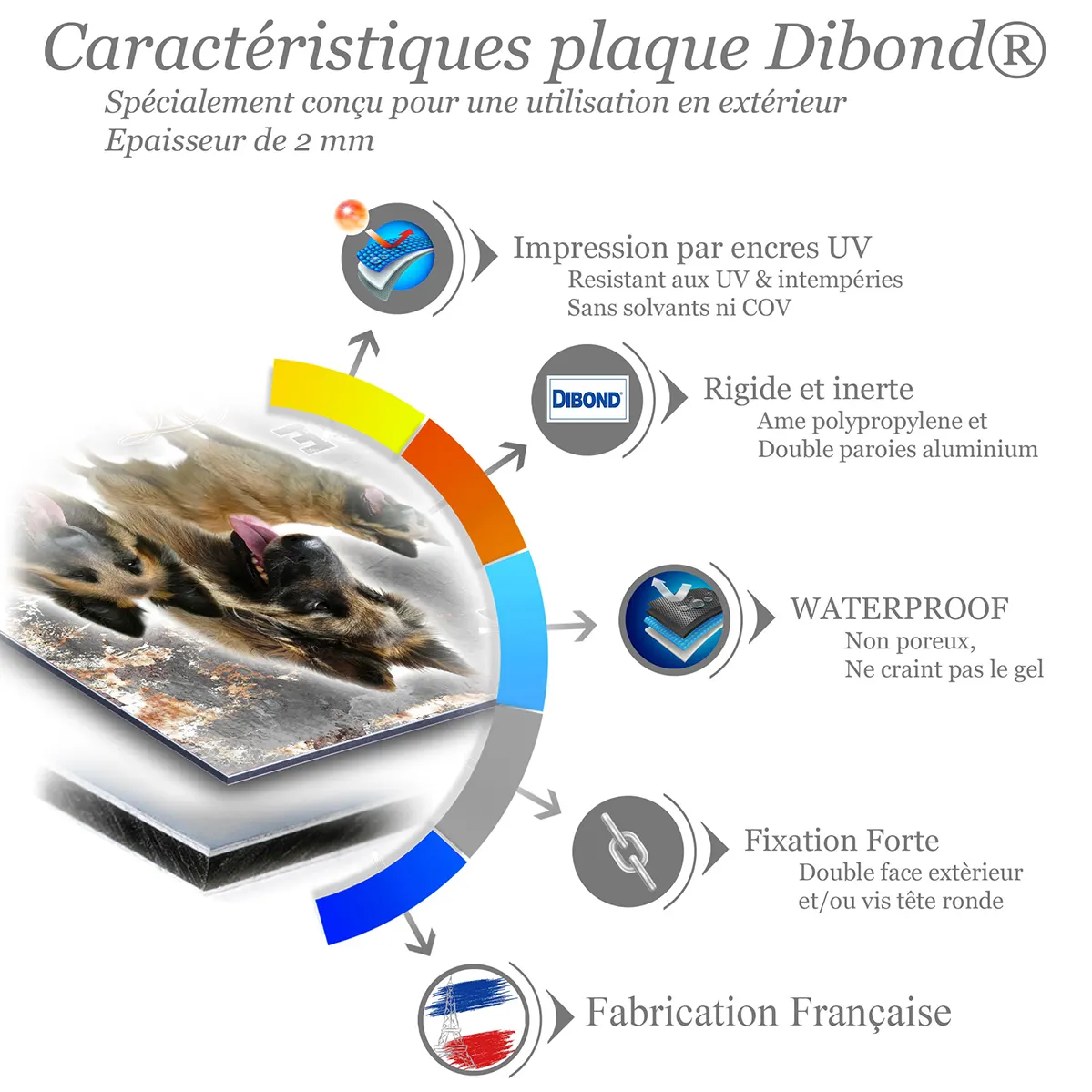 Je monte la garde Trois chiens Tervuren avec sourires