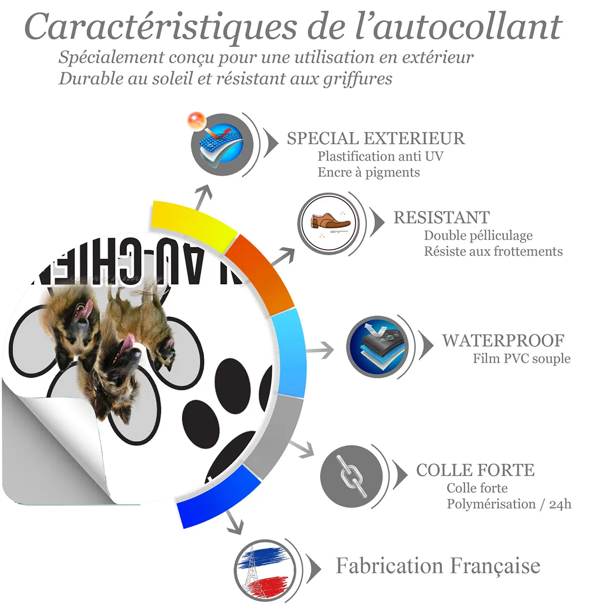 Chien a bord Trois chiens Tervuren avec sourires