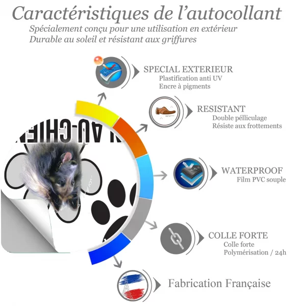 Chien a bord Chien Tervuren avec pelage marron et noir