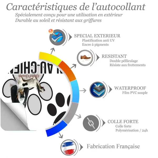 Chien a bord Deux grands Gascons Saintongeois: un en gros plan et un entier