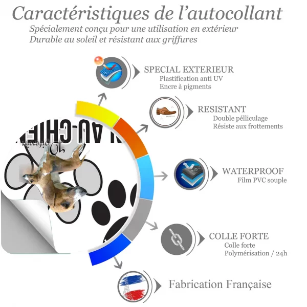 Chien a bord Deux chiens Poitevin en gros plan