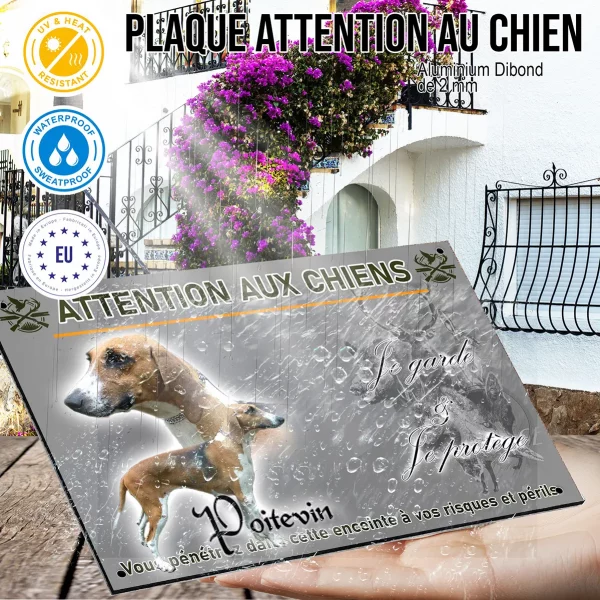 Panneau Deux chiens Poitevin en gros plan