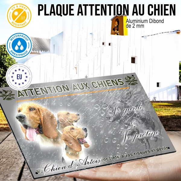 Panneau Chien d'Artois avec plusieurs têtes en arrière plan