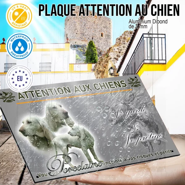 Panneau Chiens de race Porcelaine avec diverses poses et expressions