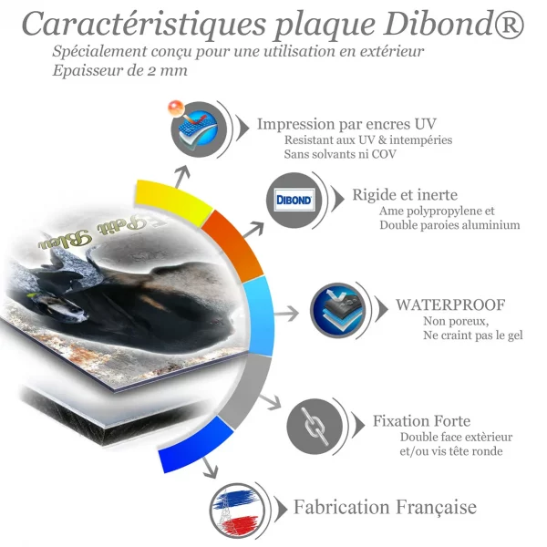 Je monte la garde Illustration de Petit Bleu de Gascogne
