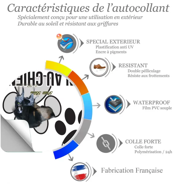Chien a bord Illustration de Petit Bleu de Gascogne