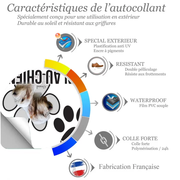 Chien a bord Deux chiens Grand Basset Griffon Vendéen en profil