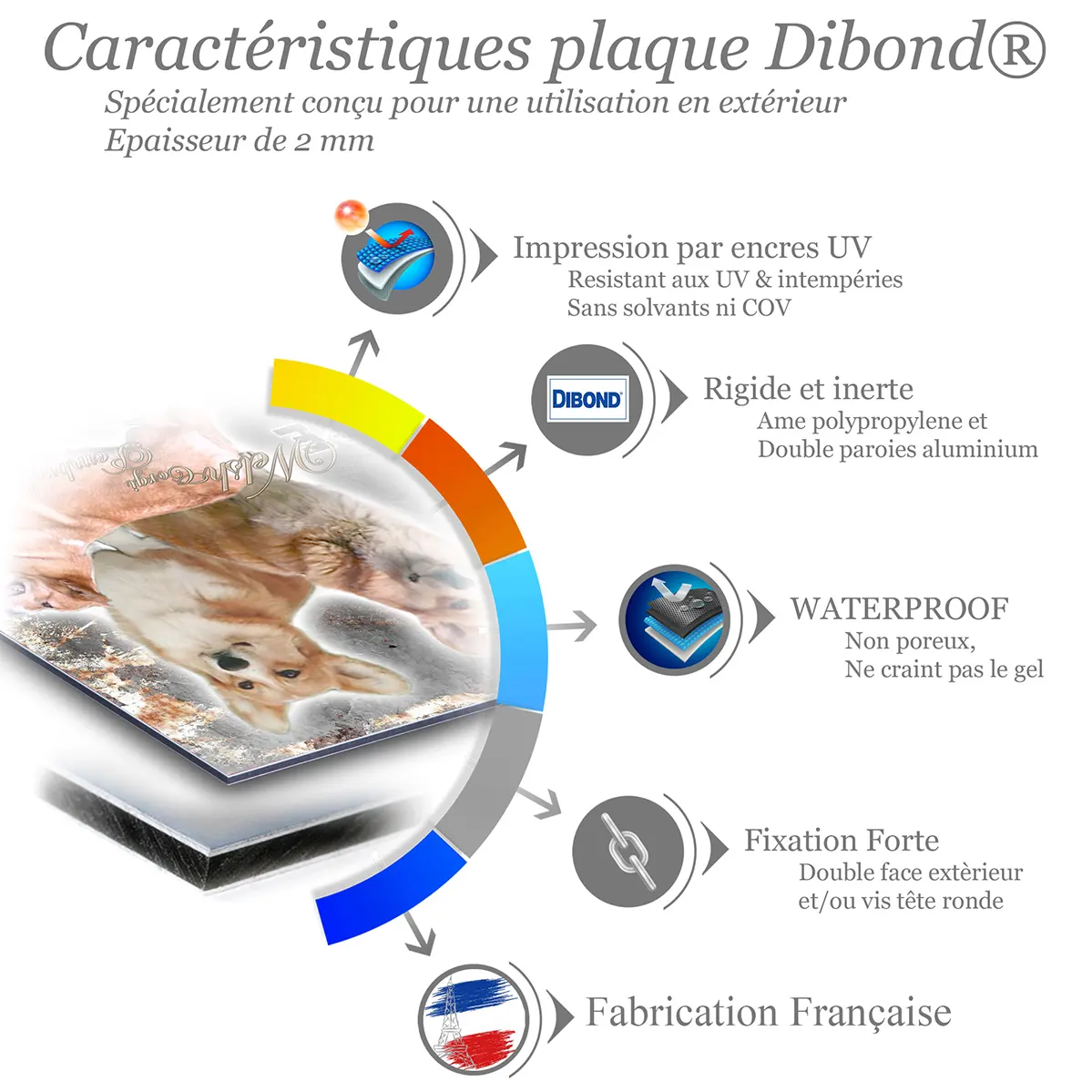 Je monte la garde Trois Welsh Corgis Pembroke et Cardigan