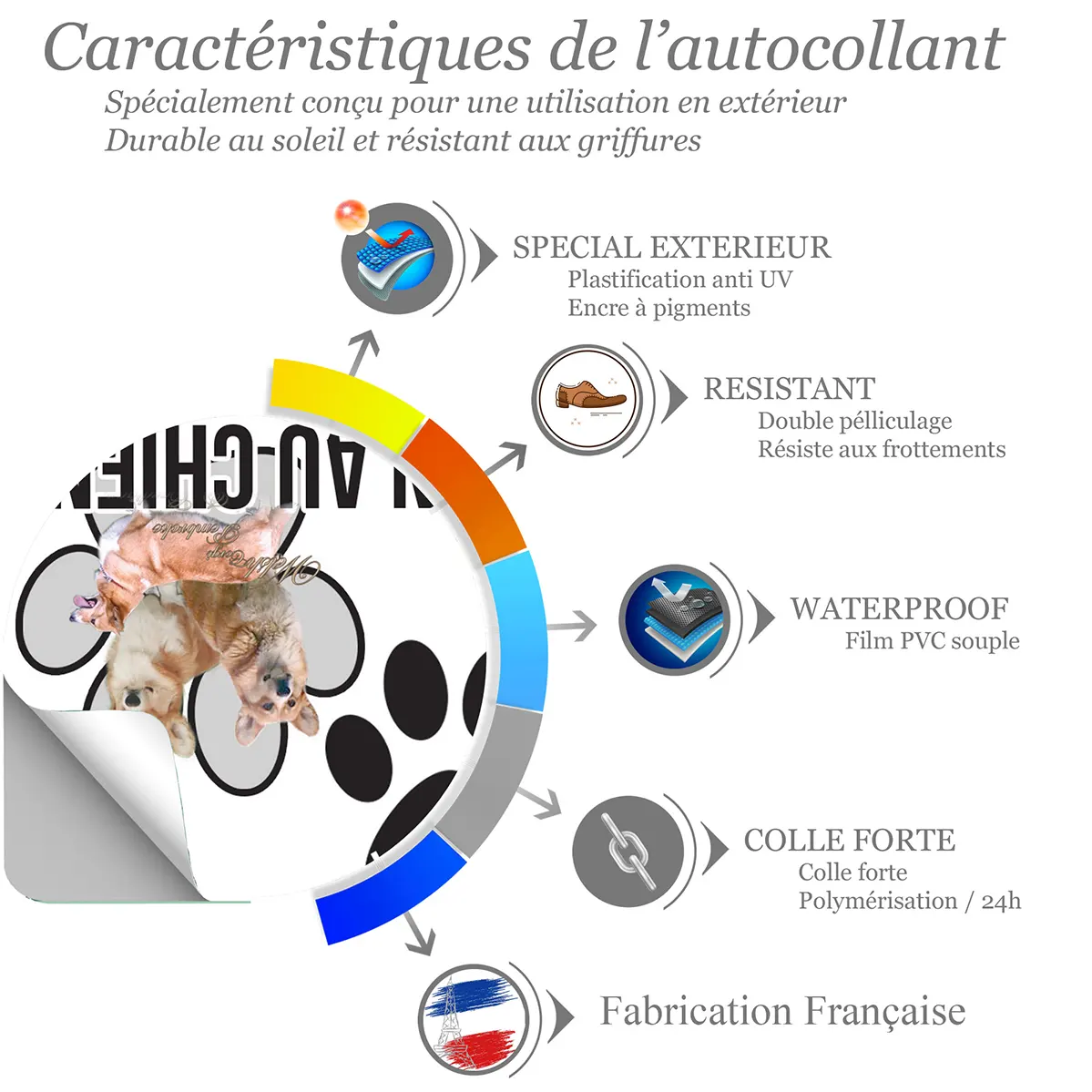 Chien a bord Trois Welsh Corgis Pembroke et Cardigan