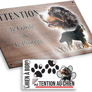 Plaque attention au chien Bouvier Bernois avec un gros plan sur la tête et un chien entier