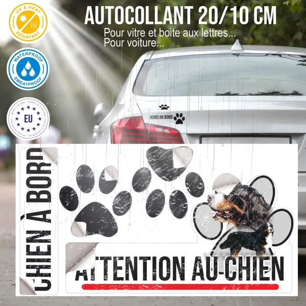 Plaque chien de garde Bouvier Bernois avec un gros plan sur la tête et un chien entier