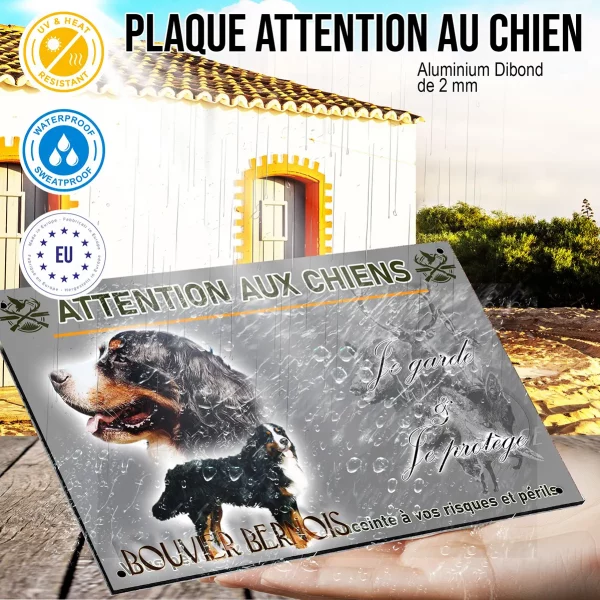 Panneau Bouvier Bernois avec un gros plan sur la tête et un chien entier