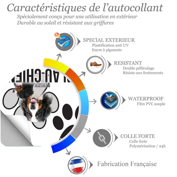 Chien a bord Berner Sennenhund avec texte décoratif