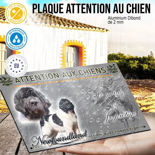 Panneau Chien de race Newfoundland avec un pelage noir et blanc