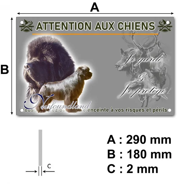 Pancarte Portrait de deux chiens Newfoundland