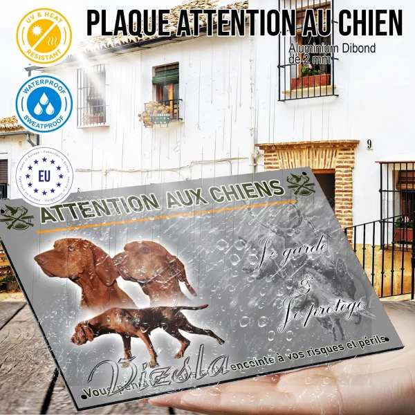 Panneau Trois chiens Vizsla