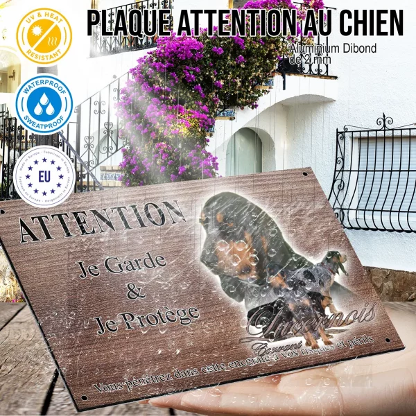 Panneau attention au chien Portrait de chiens Lucernois Courant avec robe tricolore