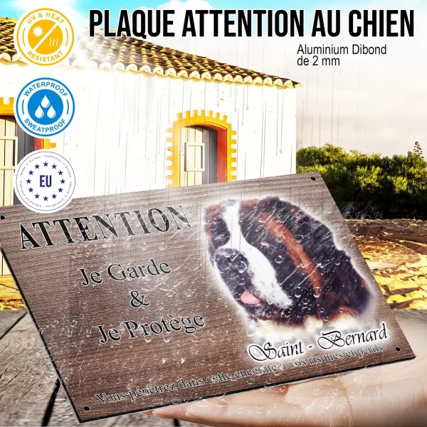 Panneau attention au chien Portrait d'un Saint Bernard sur fond coloré