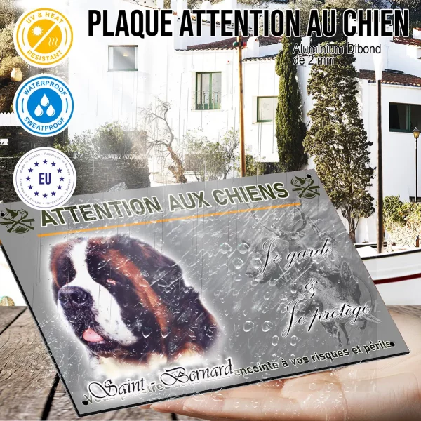 Panneau Portrait d'un Saint Bernard sur fond coloré