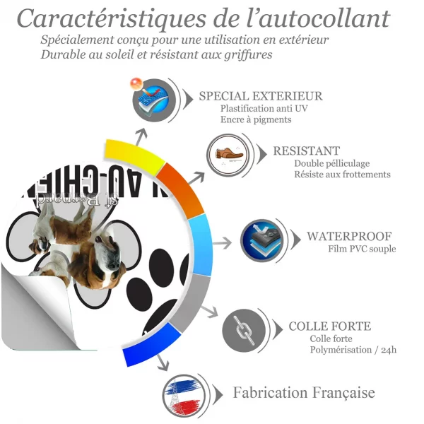 Chien a bord Trois Saint Bernard montrant différents angles et styles