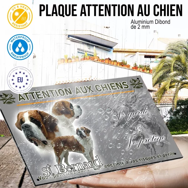 Panneau Trois Saint Bernard montrant différents angles et styles