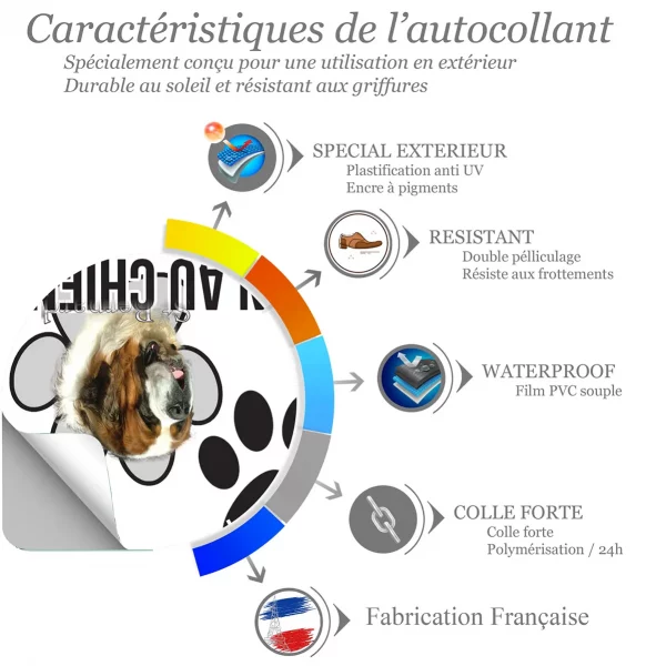Chien a bord Chiens de race Bouvier de Saint Bernard en gros plan