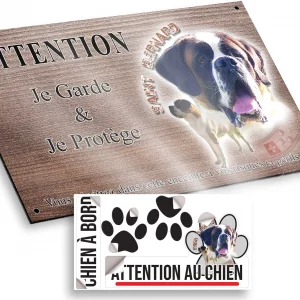 Plaque attention au chien Portrait de chiens Saint Bernard sur fond coloré