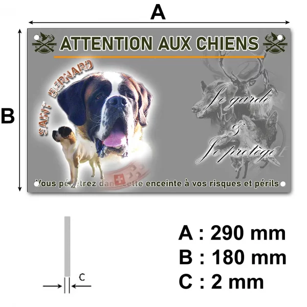 Pancarte Portrait de chiens Saint Bernard sur fond coloré