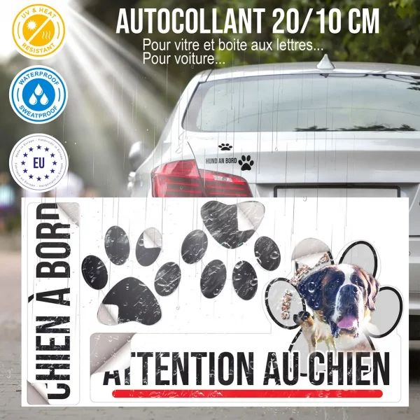 Plaque chien de garde Portrait de chiens Saint Bernard sur fond coloré