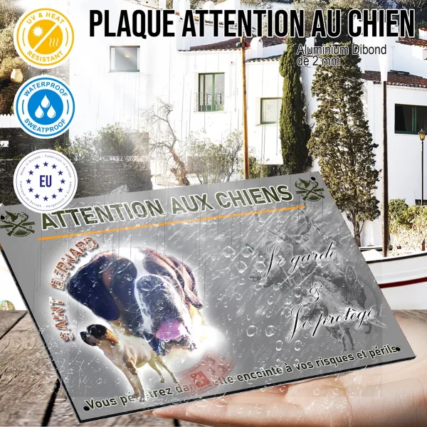 Panneau Portrait de chiens Saint Bernard sur fond coloré