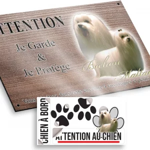 Plaque attention au chien Deux Bichons Maltais aux longs poils blancs