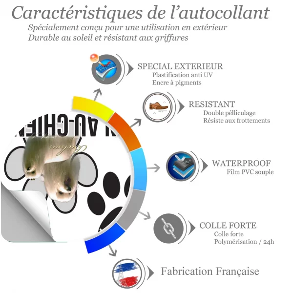 Chien a bord Deux Bichons Maltais aux longs poils blancs