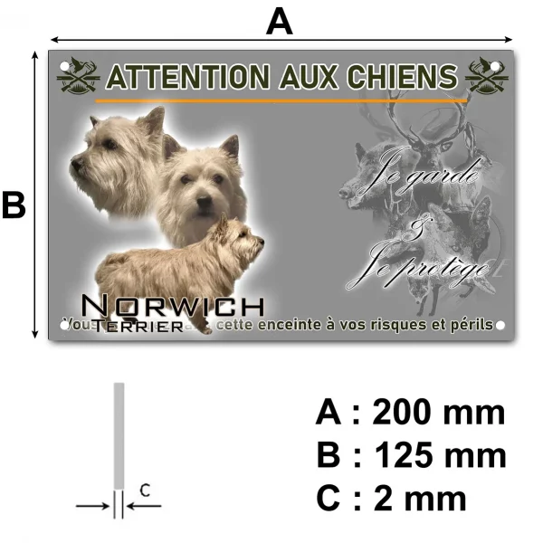 Panneau Trois portraits de Norwich Terrier avec un texte en fond.