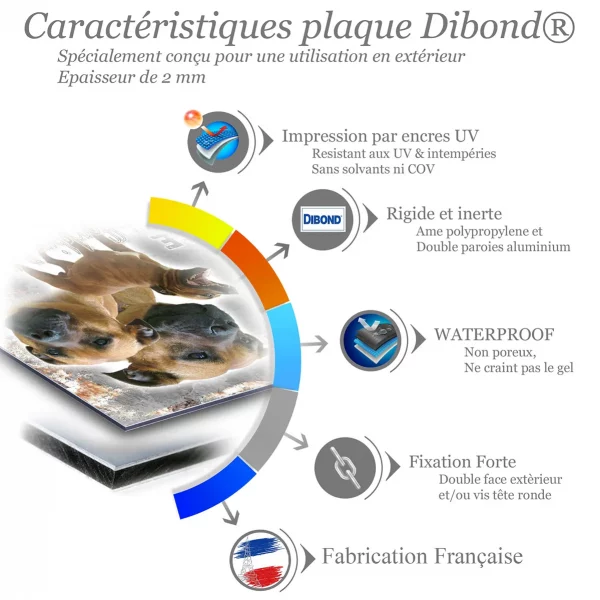 Je monte la garde Visuel multiple du Staffordshire Bull Terrier