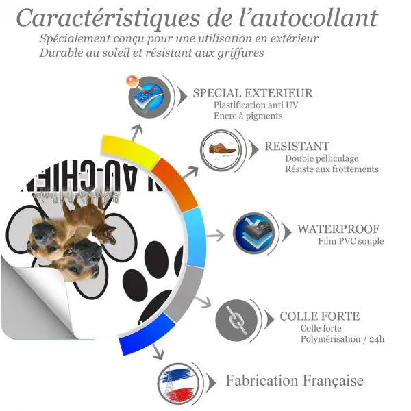 Chien a bord Visuel multiple du Staffordshire Bull Terrier