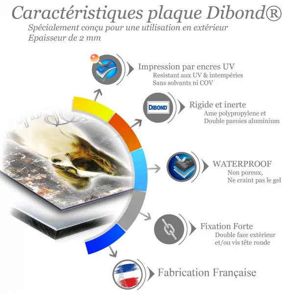 Je monte la garde Un Papillon avec un pelage soyeux et des oreilles distinctives