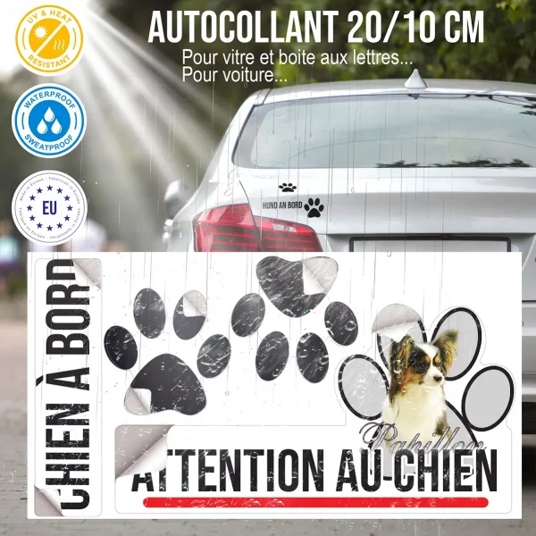 Plaque chien de garde Un Papillon avec un pelage soyeux et des oreilles distinctives