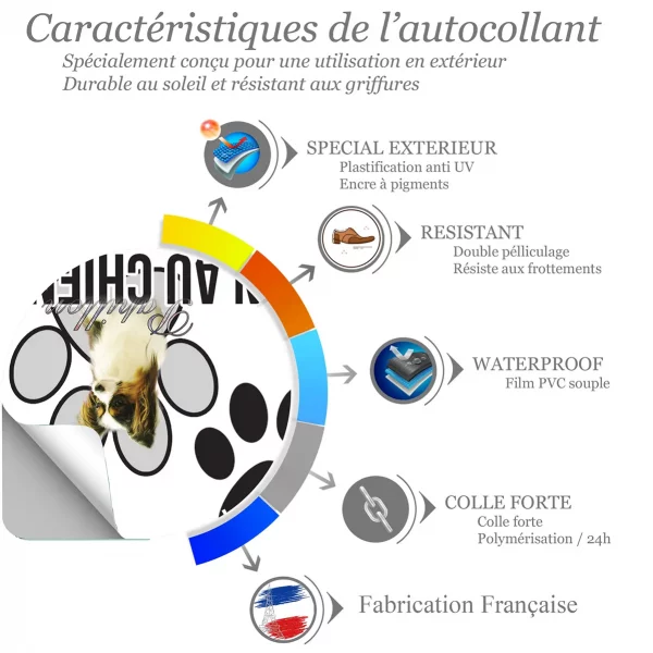 Chien a bord Un Papillon avec un pelage soyeux et des oreilles distinctives
