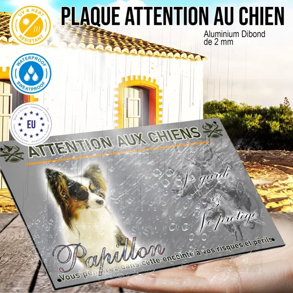 Panneau Un Papillon avec un pelage soyeux et des oreilles distinctives