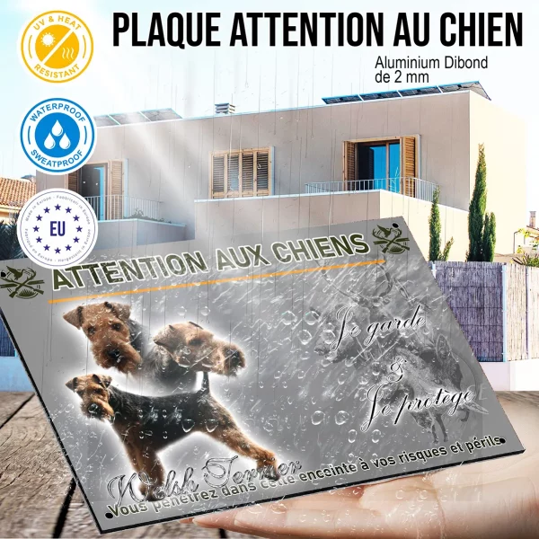 Panneau Welsh Terrier avec poses variées en tête et entier.
