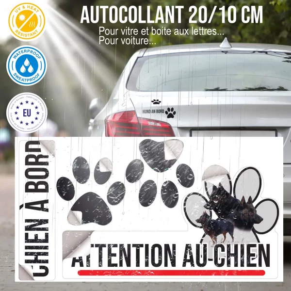 Plaque chien de garde Schipperke avec plusieurs angles de tête et entier