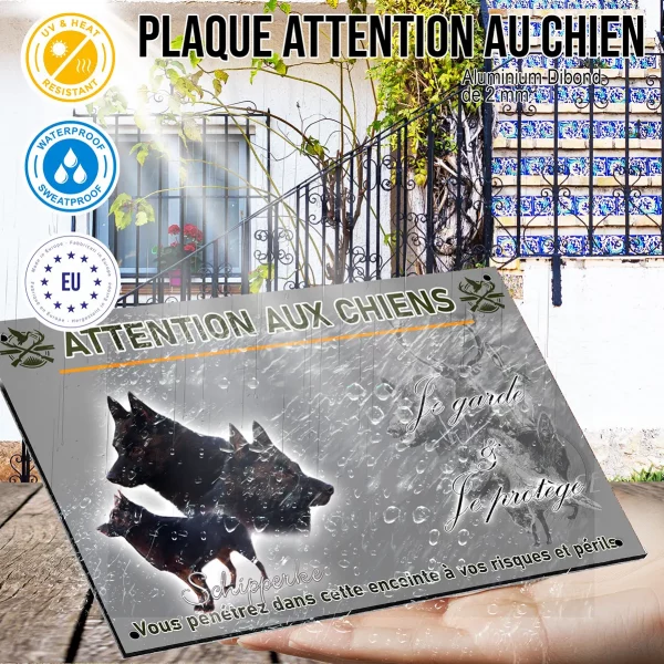 Panneau Schipperke avec plusieurs angles de tête et entier