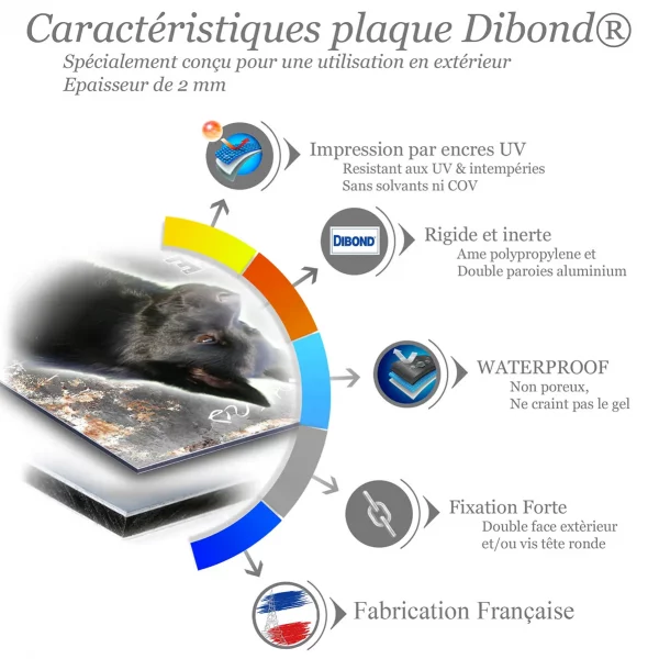 Je monte la garde Profil d'un Schipperke noir sur fond flou